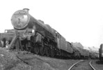 45657 Tyrwhitt leading a line of stored engines at Wigan Springs Branch, 28 Feb 1965